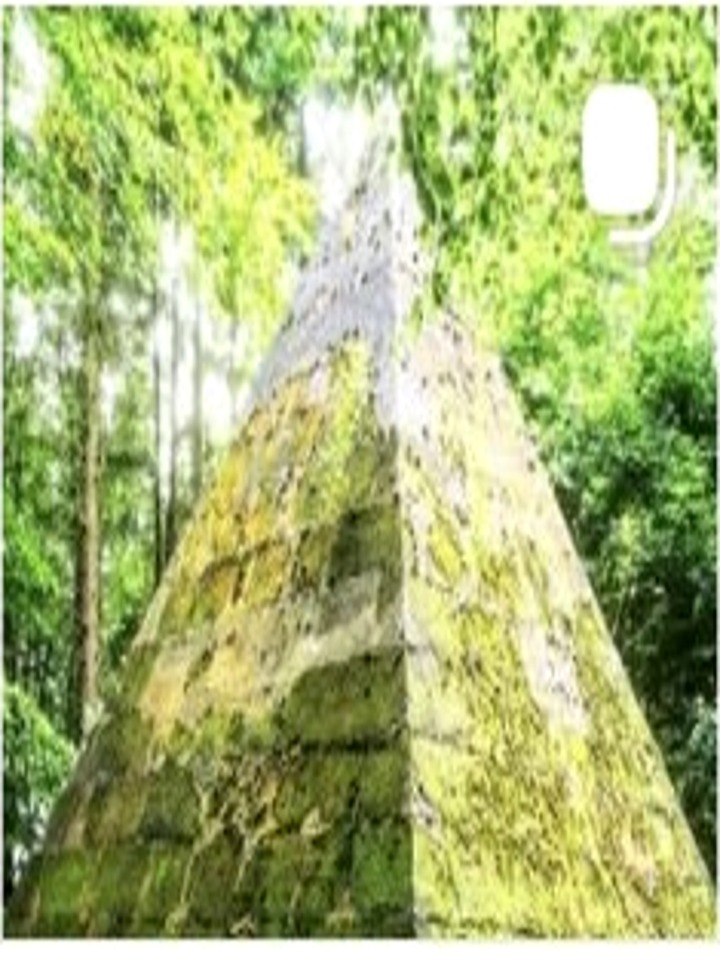 Ancient stone structure in a forest
